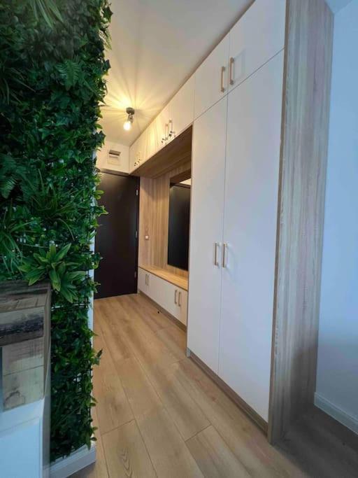 Cosy Appartement Green Life Bansko Luaran gambar