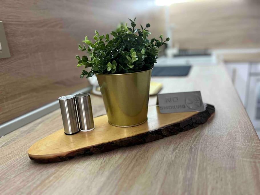 Cosy Appartement Green Life Bansko Luaran gambar
